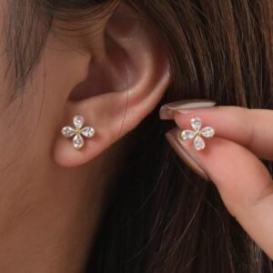 Aretes Anastasia